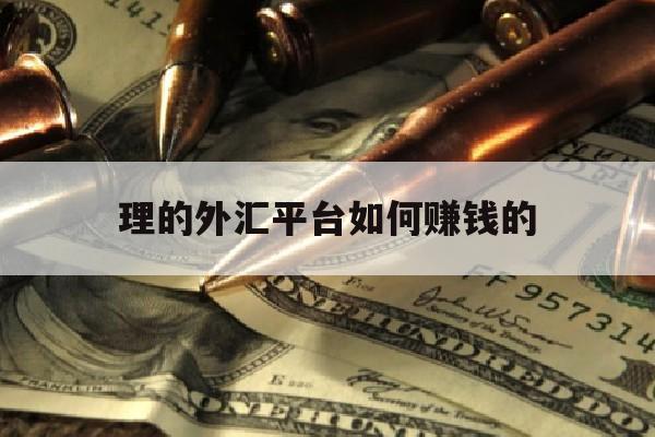 理的外汇平台如何赚钱的(2021外汇理财赚钱平台)