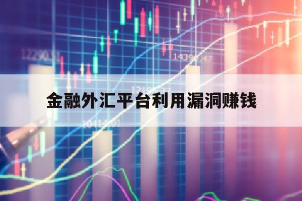 金融外汇平台利用漏洞赚钱(金融外汇平台利用漏洞赚钱违法吗)