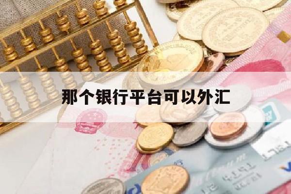 那个银行平台可以外汇(哪个银行外汇入账方便)