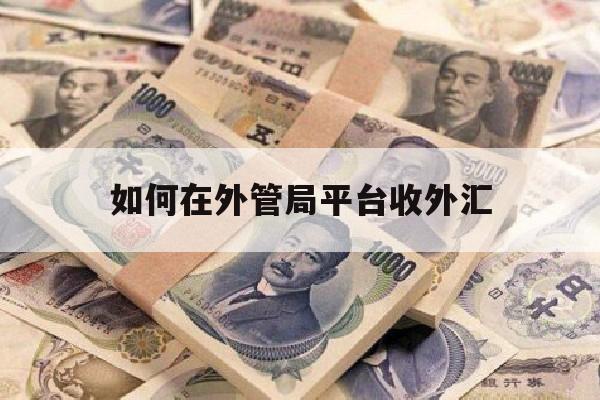 如何在外管局平台收外汇(怎么在外管局做外汇申报)