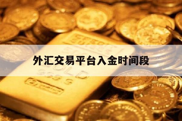 外汇交易平台入金时间段(外汇平台出入金一般多少时间)