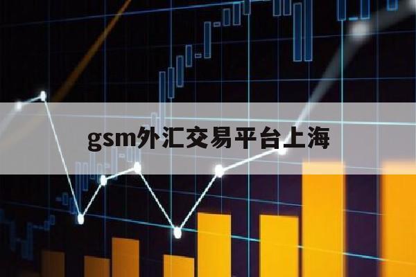 gsm外汇交易平台上海(瑞讯外汇交易平台官网)