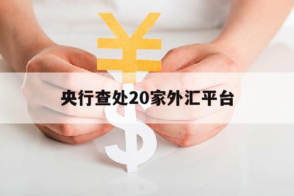 央行查处20家外汇平台(央行查处20家外汇平台是真的吗)