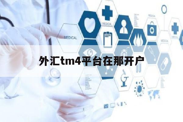 外汇tm4平台在那开户(外汇交易mt4平台)