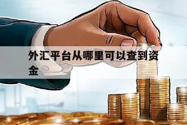 外汇平台从哪里可以查到资金(外汇平台怎么查监管)