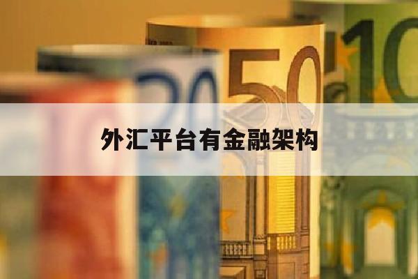 外汇平台有金融架构(外汇平台模式)