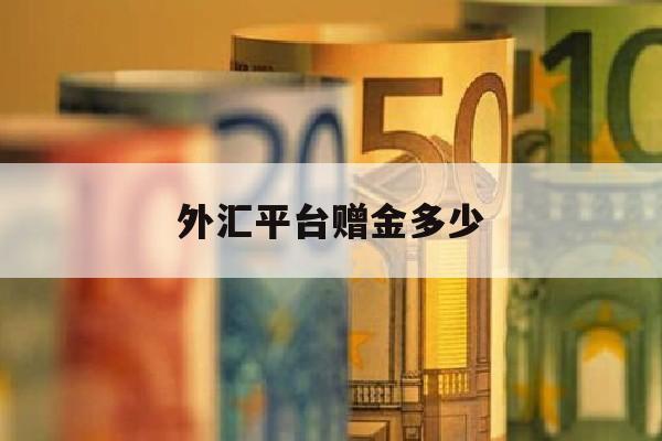 外汇平台赠金多少(外汇赠金平台网)