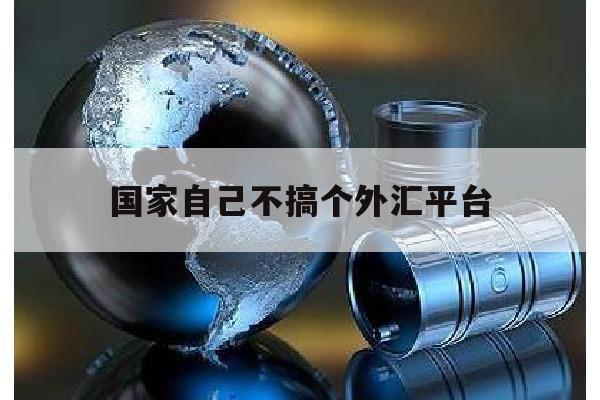 国家自己不搞个外汇平台(国家自己不搞个外汇平台了吗)