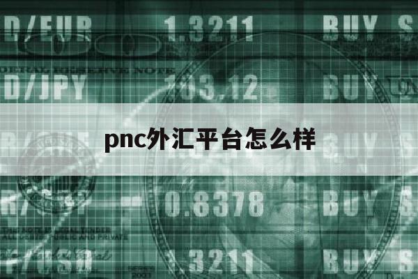 pnc外汇平台怎么样(pnc外汇交易所是真的吗)