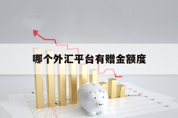 哪个外汇平台有赠金额度(哪个外汇平台有赠金额度的)