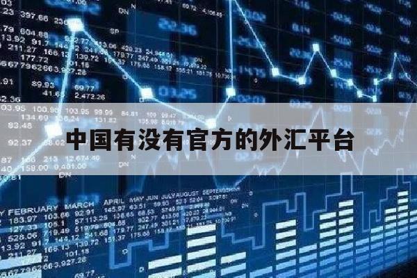 中国有没有官方的外汇平台(中国有没有官方的外汇平台公司)