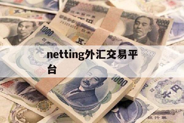 netting外汇交易平台的简单介绍