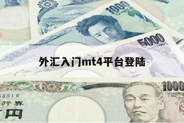 外汇入门mt4平台登陆(外汇交易平台软件mt4入门操作)