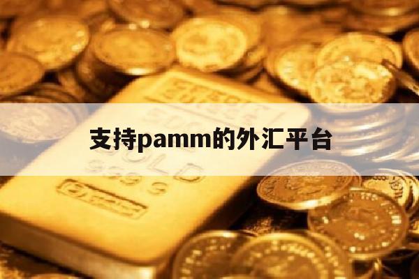 支持pamm的外汇平台(支持外汇ecn账户交易的平台)