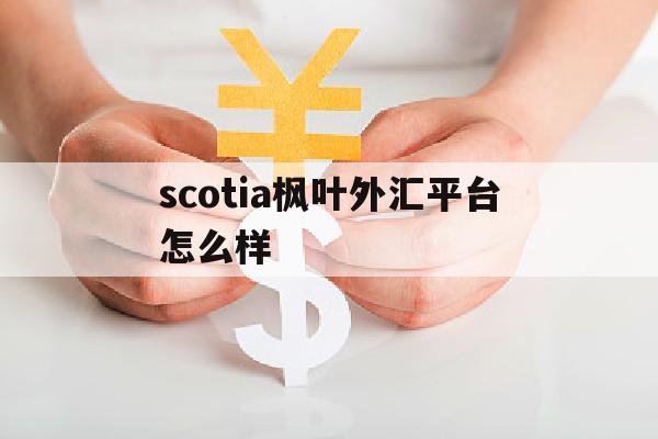 关于scotia枫叶外汇平台怎么样的信息