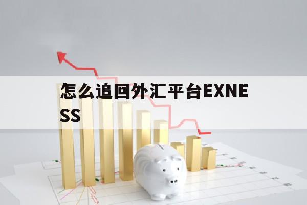 怎么追回外汇平台EXNESS(exness外汇官网入金)