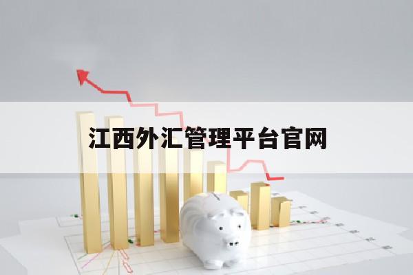 江西外汇管理平台官网(江西省外贸资产经营有限公司)