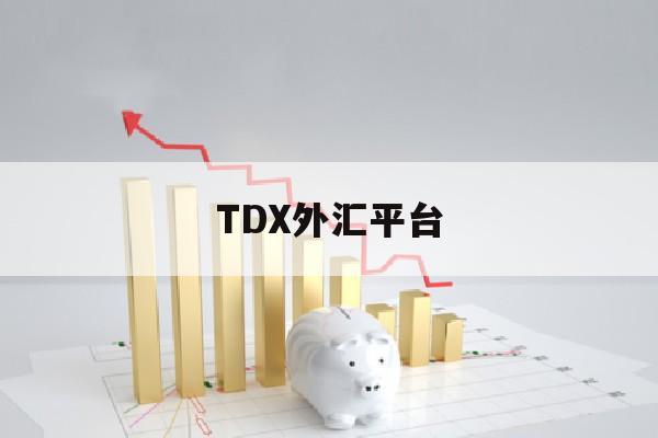 TDX外汇平台(外汇trade平台正规吗)