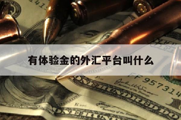 有体验金的外汇平台叫什么(有体验金的外汇平台叫什么名字)