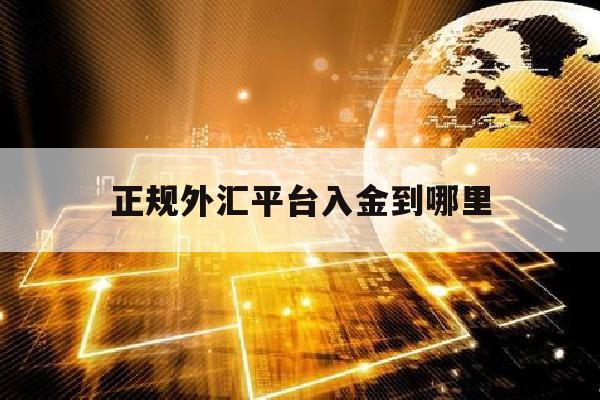 正规外汇平台入金到哪里(正规外汇平台入金到哪里查)