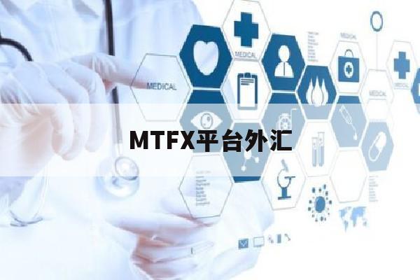 MTFX平台外汇(外汇mt5平台)