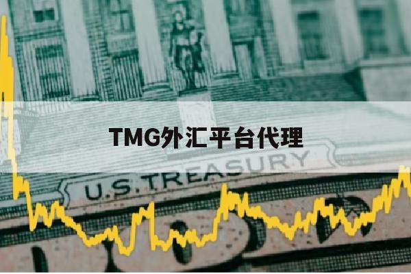 TMG外汇平台代理(tmg外汇叫什么名字)