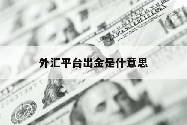 外汇平台出金是什意思(外汇平台出金一直在审核)