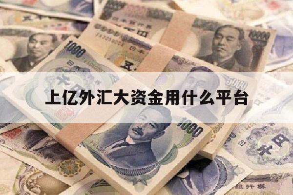 上亿外汇大资金用什么平台(上亿外汇大资金用什么平台好)