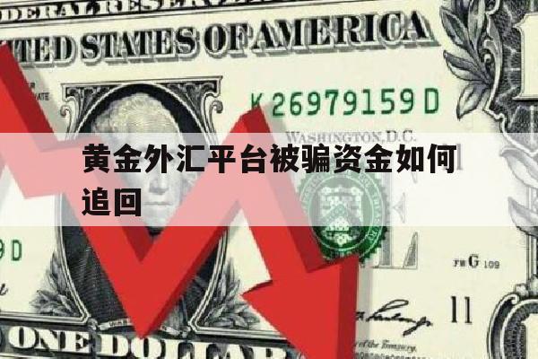 黄金外汇平台被骗资金如何追回(黄金外汇交易骗局揭秘)