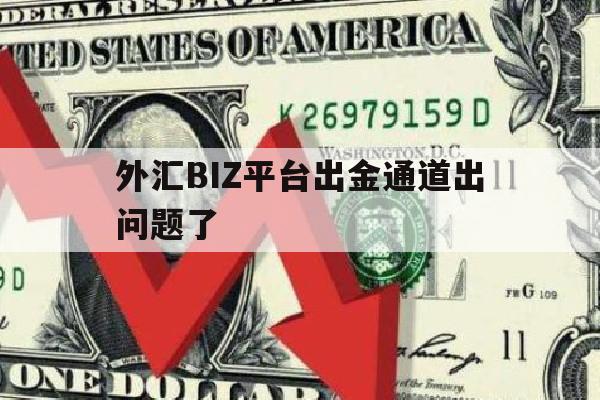 外汇BIZ平台出金通道出问题了(外汇出金通道冻结)