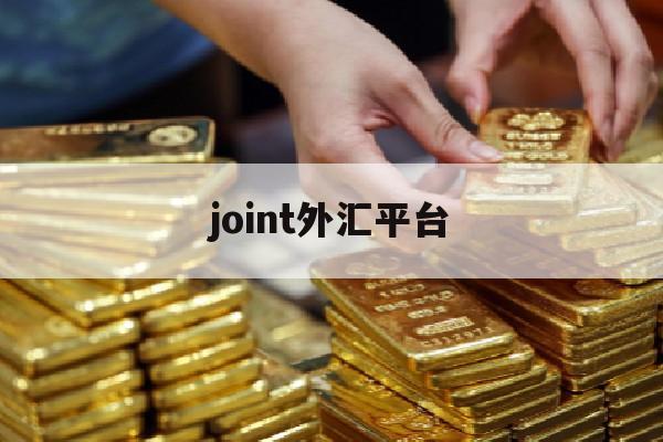 joint外汇平台(tradeking外汇平台)