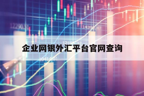 企业网银外汇平台官网查询(企业银行外汇账户怎样操作)