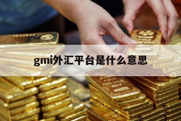 gmi外汇平台是什么意思的简单介绍