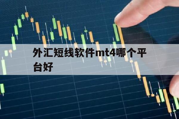 外汇短线软件mt4哪个平台好(外汇短线交易系统精准)