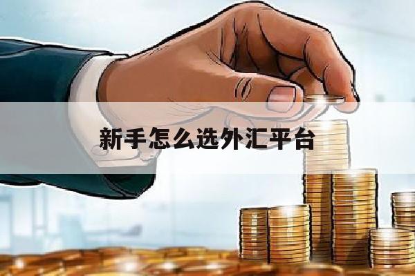 新手怎么选外汇平台(外汇新手做什么品种)