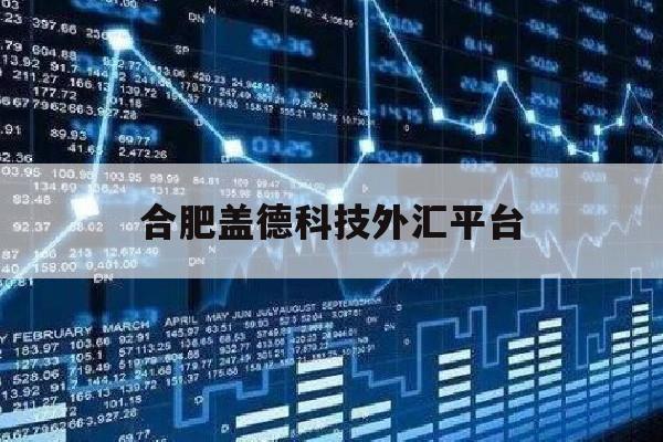 合肥盖德科技外汇平台(合肥盖德科技外汇平台怎么样)