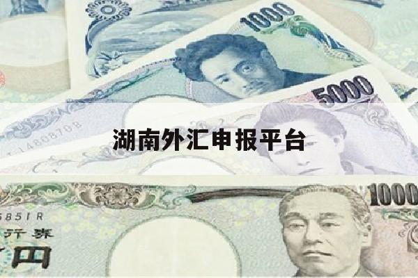 湖南外汇申报平台(湖南最新外汇诈骗案)