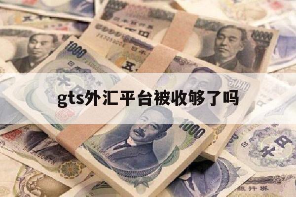 gts外汇平台被收够了吗(gts外汇交易软件)