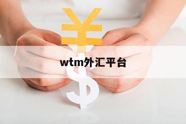 wtm外汇平台(wfc外汇平台)