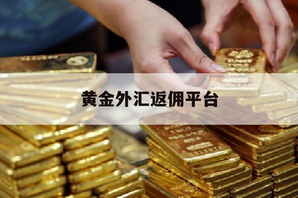 黄金外汇返佣平台(黄金外汇新手入门知识)