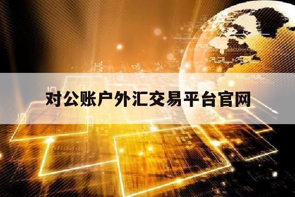 对公账户外汇交易平台官网(对公外汇产品)