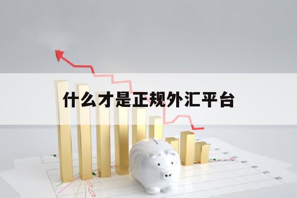 什么才是正规外汇平台(什么才是正规外汇平台呢)