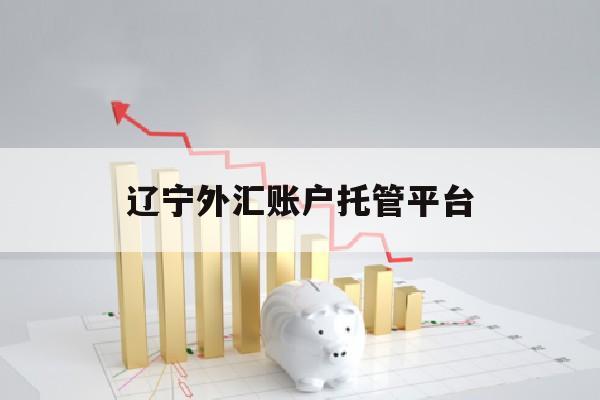 辽宁外汇账户托管平台(辽宁省国家外汇管理局官网)