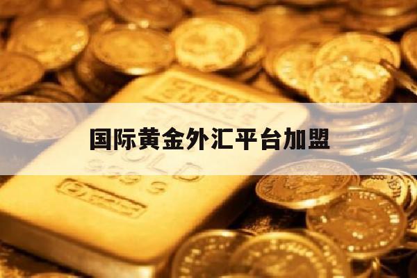 国际黄金外汇平台加盟(黄金外汇公司)