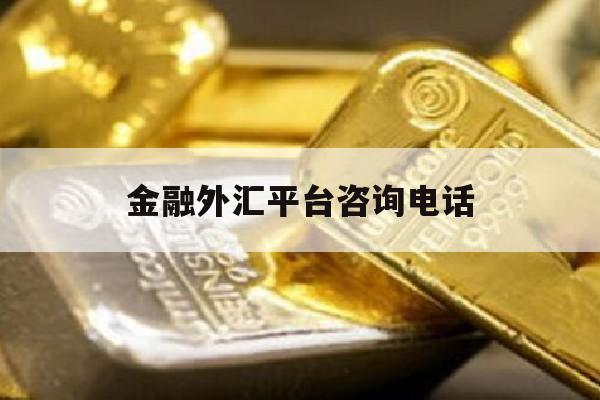 金融外汇平台咨询电话(外汇平台客服电话是多少)