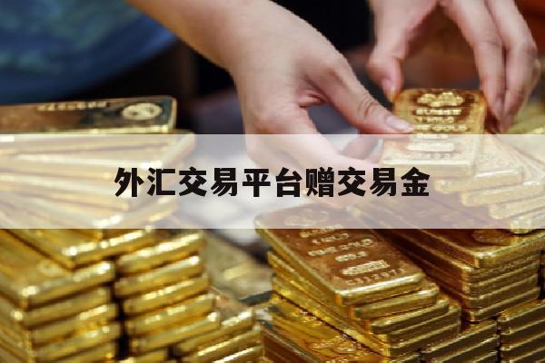 外汇交易平台赠交易金(外汇交易平台赠交易金额怎么算)