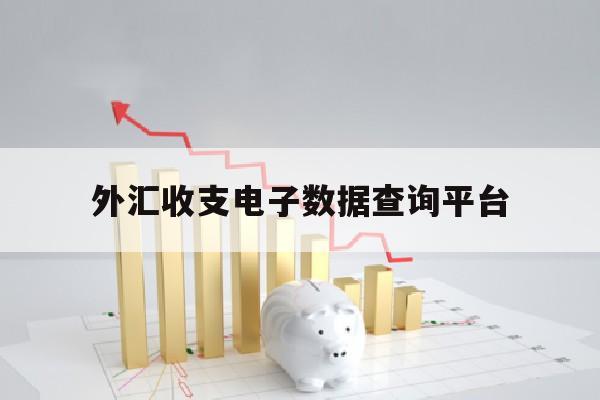 外汇收支电子数据查询平台(外汇收支电子数据查询平台有哪些)