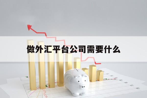 做外汇平台公司需要什么(注册外汇交易公司需要什么要求)