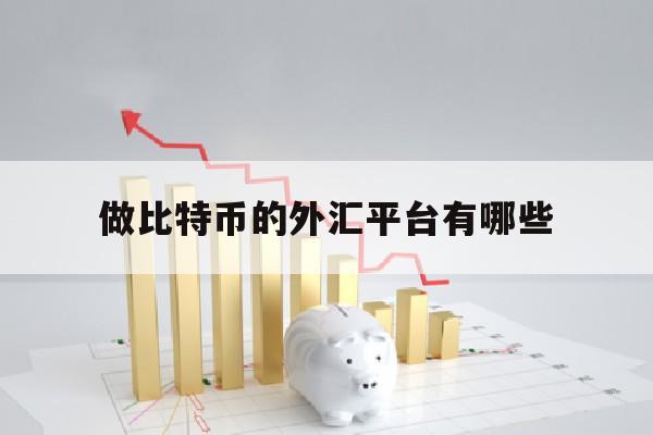 做比特币的外汇平台有哪些(做比特币的外汇平台有哪些公司)