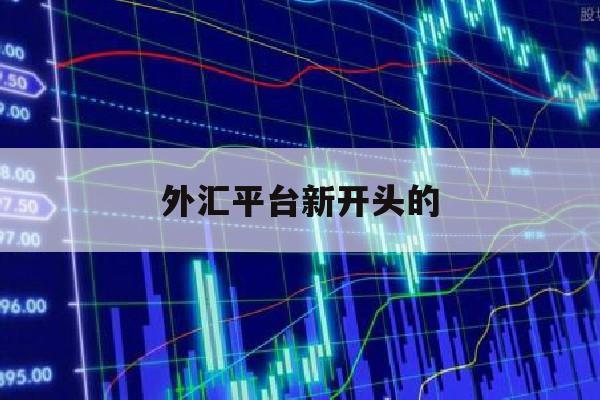 外汇平台新开头的(外汇平台正规排名)